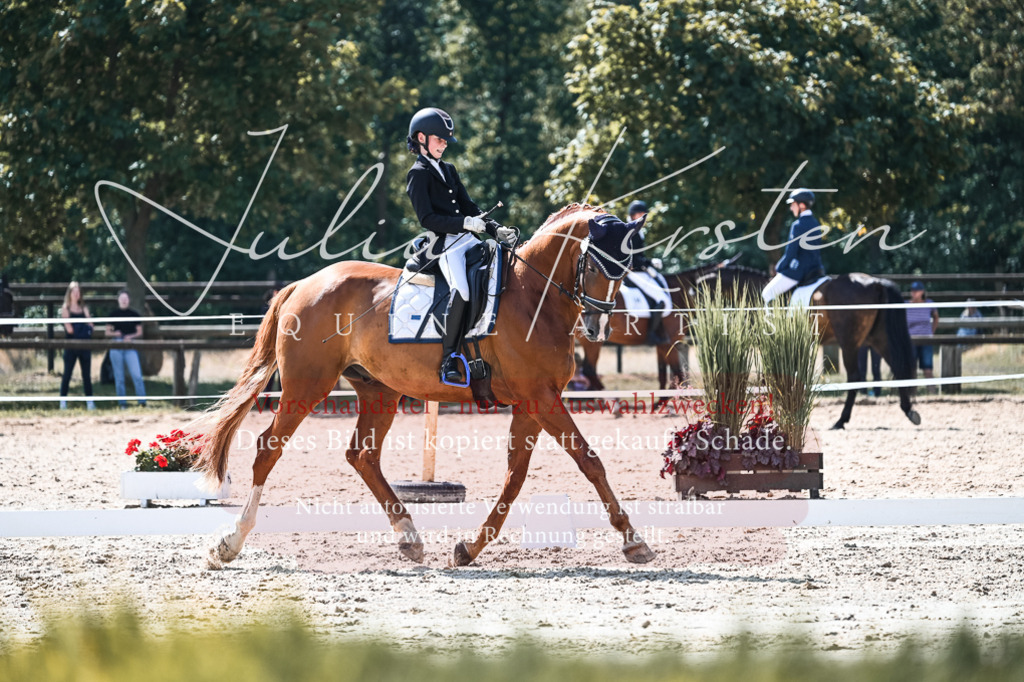 DSC_5081 | Pferde- und Turnierfotografie in Westsachsen. Pferdeportraits, Auftragszeichnungen und intuitive Kunst.