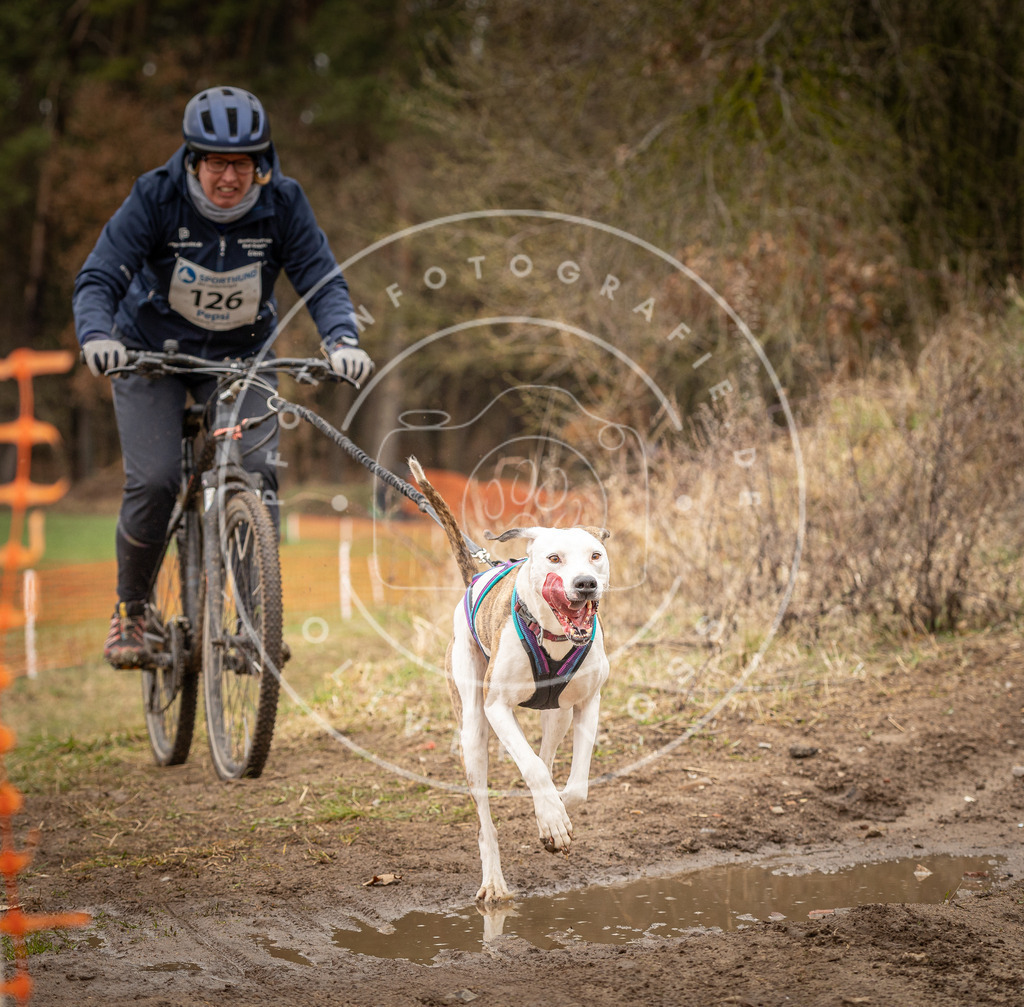 DV3A1675 | Hundefotografie, Tierfotograf, Pfotenfotografie, Fotoshooting Hund, Hunde Portrait, Hundesport, Hundeportraits, Heideshooting, Hunde, Sportfotograf, Hundefotograf, Turnierhundsport, THS,  - Realisiert mit Pictrs.com