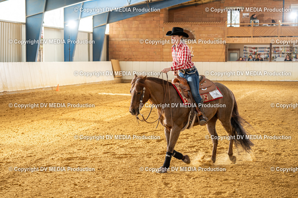 MIT00665 | dv-media-shop - Realisiert mit Pictrs.com