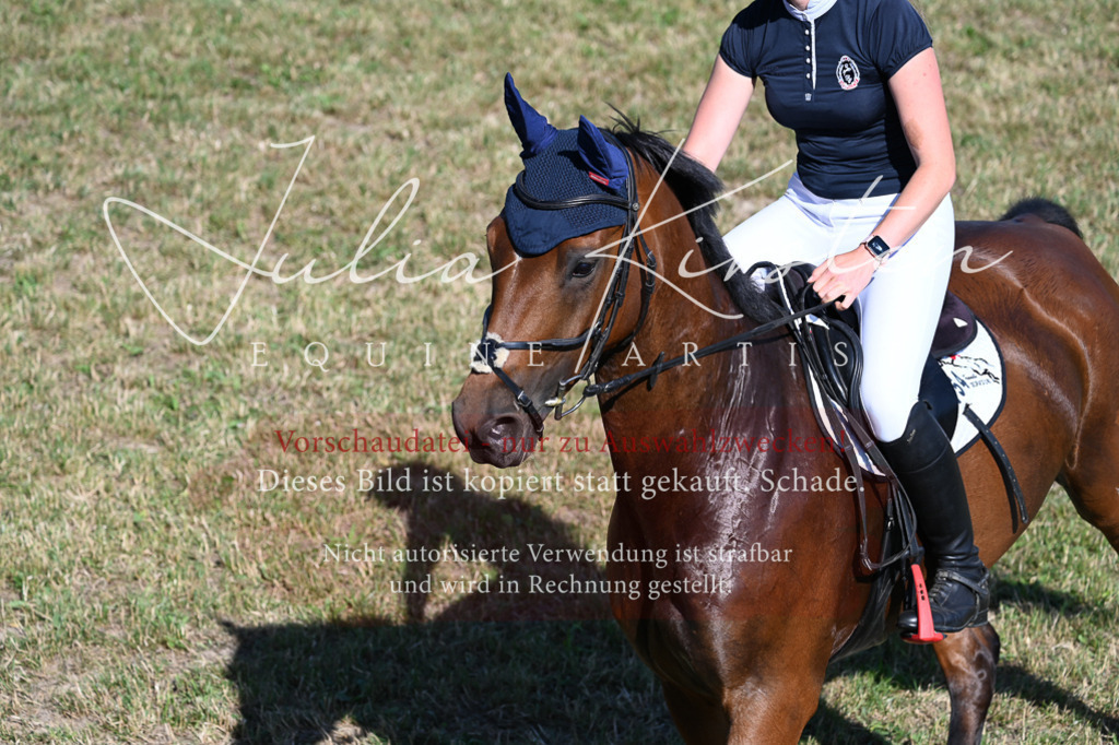 DSC_2076 | Pferde- und Turnierfotografie in Westsachsen. Pferdeportraits, Auftragszeichnungen und intuitive Kunst.
