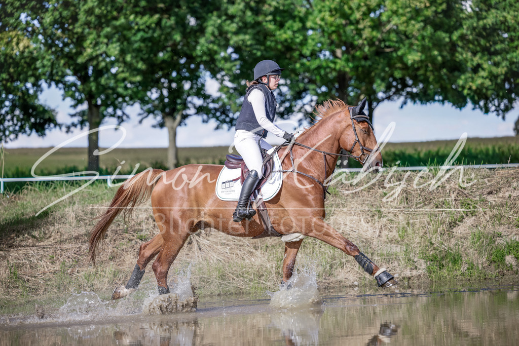 20250906-_3LI6886 | Tierfotografie Pferde, Hunde, Katzen, Haustiere.
Turnierfotografie Reitturniere, Reiten, Springreiten, Dressur in Hanau, dem Main-Kinzig-Kreis und dem Rhein-Main- Gebiet um Frankfurt