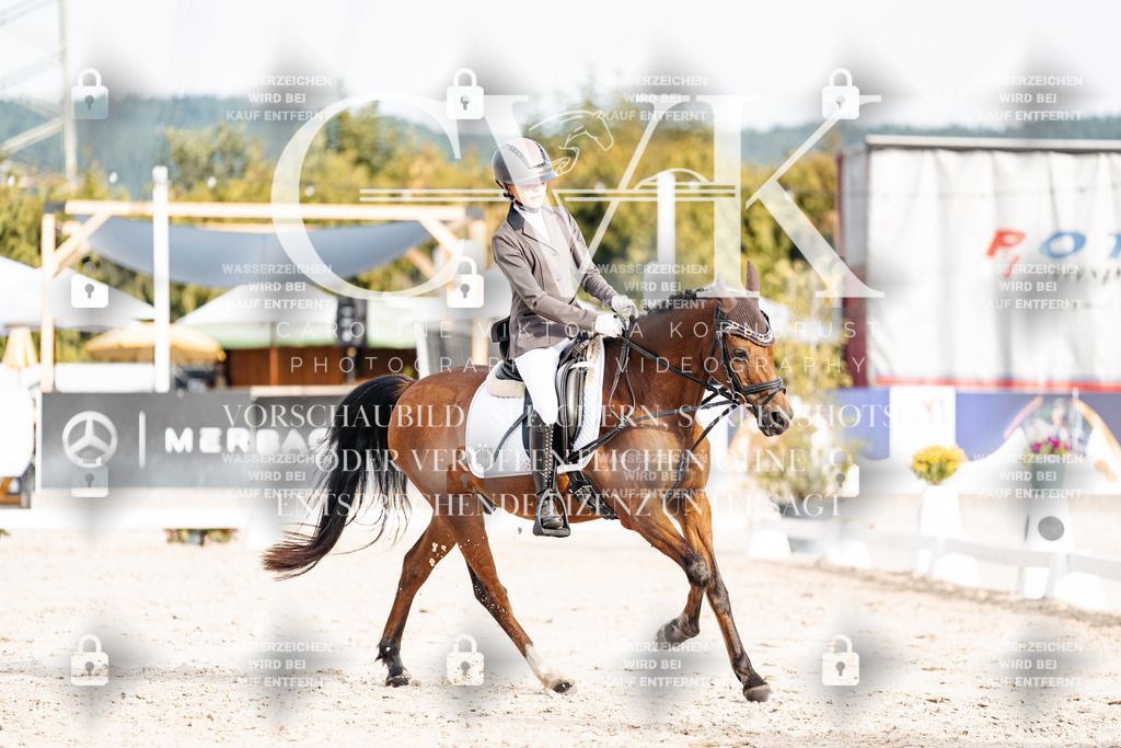 CK904077 | Turnierfotografie Pferdefotografie Trier Rheinland-Pfalz Pferdesport Reitsport Tierfotografie Sportfotografie Pferdevideo Pferdevideografie Equestrianvideography equestrianphotography  - Realisiert mit Pictrs.com
