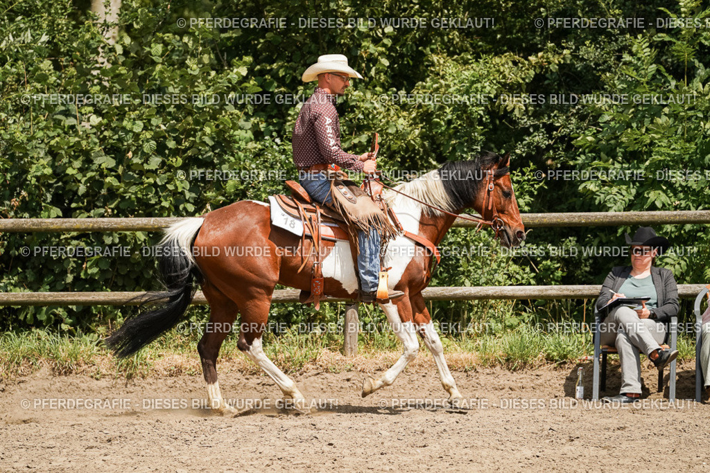 DSC09788 | Pferdegrafie