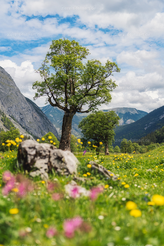 Der Ahornboden im Karwendel im Frühling | Der Ahornboden im Karwendel im Frühling - Realisiert mit Pictrs.com
