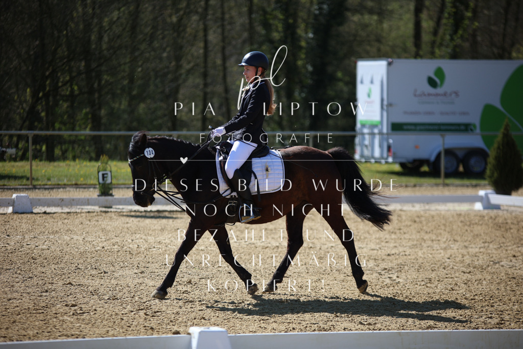 IMGT0262 | pl-fotografie