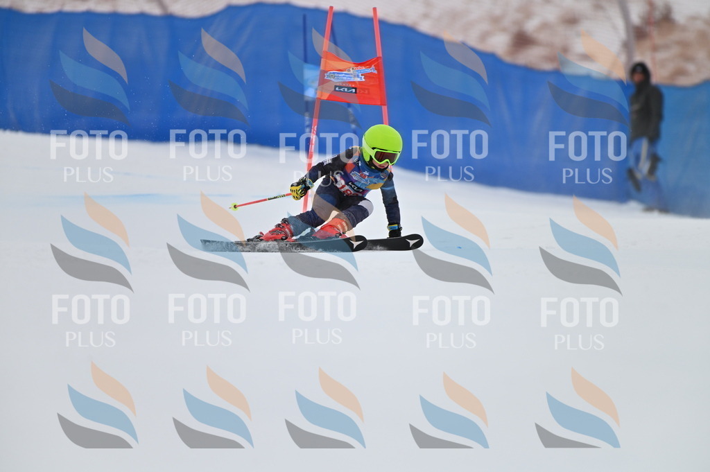 BGV_1100 | holidayphoto