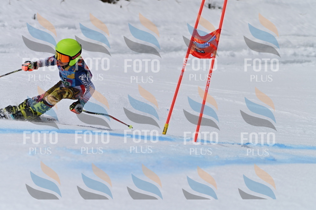 BGV_5779 | holidayphoto