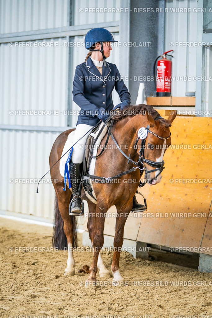 DSC03859 | Pferdegrafie