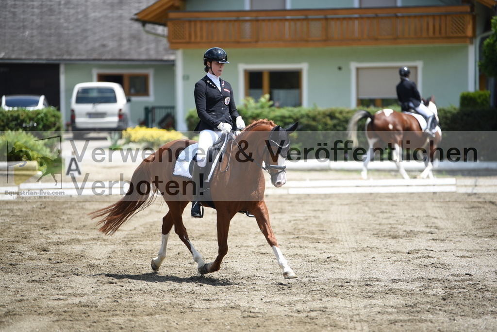 DSC_9643 | equestrian-live-com