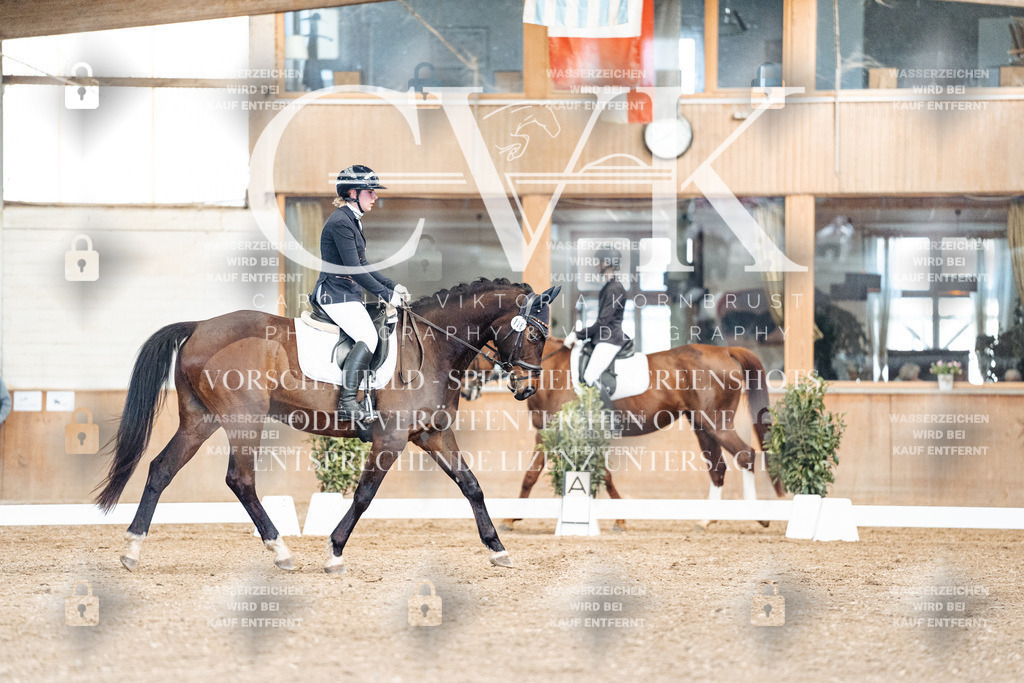 CK900894 | Turnierfotografie Pferdefotografie Trier Rheinland-Pfalz Pferdesport Reitsport Tierfotografie Sportfotografie Pferdevideo Pferdevideografie Equestrianvideography equestrianphotography  - Realisiert mit Pictrs.com