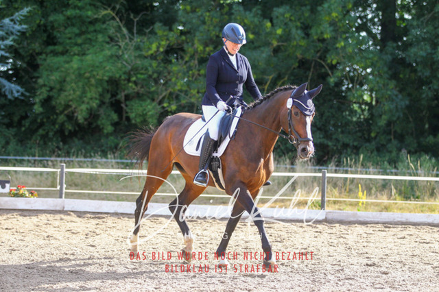 DKP45458 | Turniersportfotografie; Pferdefotografie; Dressurfotografie