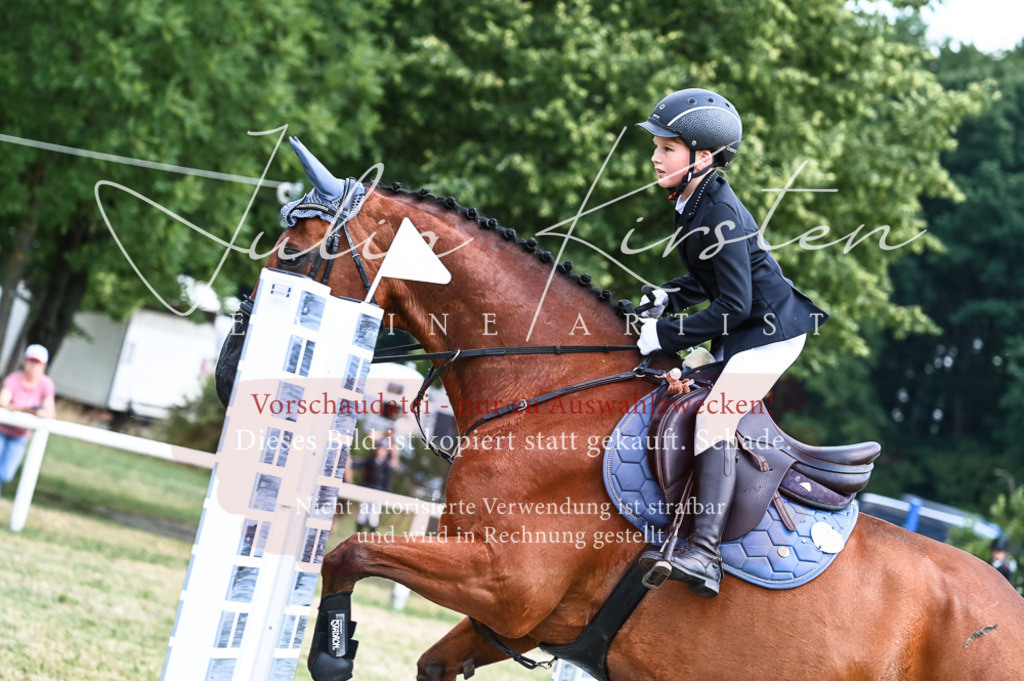 DSC_9695 | Pferde- und Turnierfotografie in Westsachsen. Pferdeportraits, Auftragszeichnungen und intuitive Kunst.