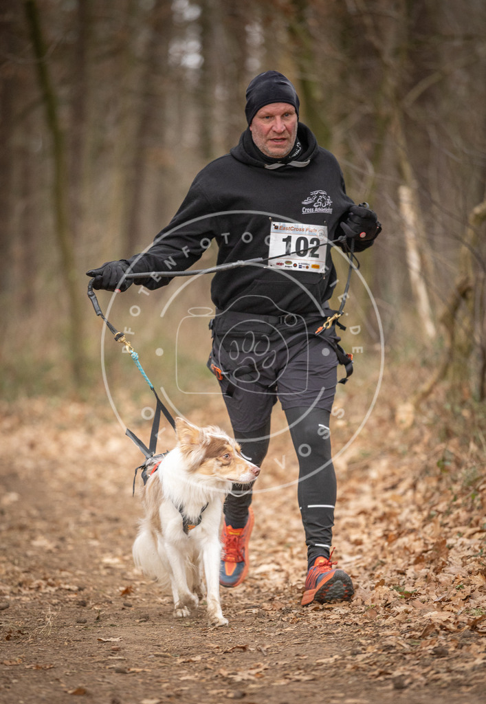 Pfotenfotografie_DV3A7689 | Hundefotografie, Tierfotograf, Pfotenfotografie, Fotoshooting Hund, Hunde Portrait, Hundesport, Hundeportraits, Heideshooting, Hunde, Sportfotograf, Hundefotograf, Turnierhundsport, THS,  - Realisiert mit Pictrs.com
