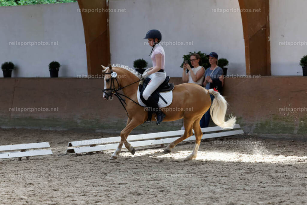 JHE34216 | JoYa Fotografie - Realisiert mit Pictrs.com