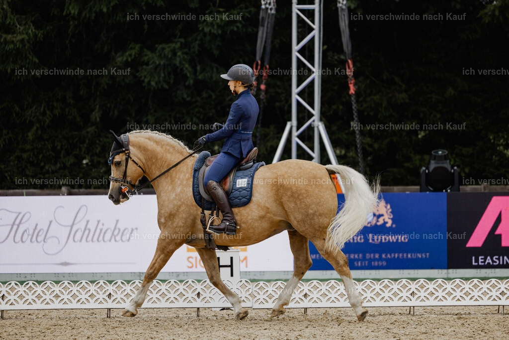 Nici11_FHC2025-24460 | working equitationturnier fotograf videograf stoibphotography marixx film working equitation deutschland reitsport turnierfotografie eventfotografie equestrian events