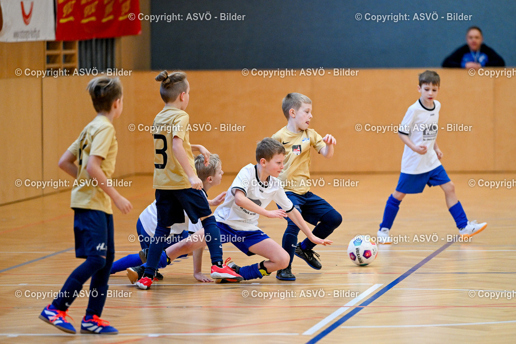 ASVÖ_ Fussballturnier SV Gallneukirchen_ 09.02.2025-58 | 09.02.2025, Gallneukirchen, AUT, ASVÖ, Fussball Nachwuchs Hallenturnier 2025, SV Gallneukirchen im Bild Teilnehmer U 9©Harald Dostal / fodo.media - Realisiert mit Pictrs.com