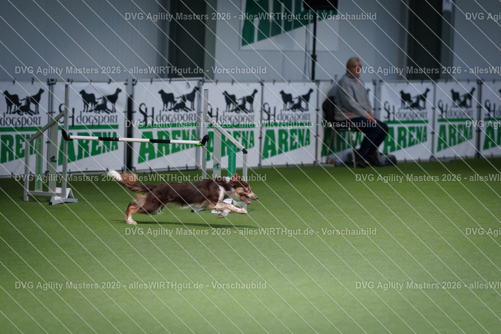 allesWIRTHgut_Tierfotografie-DVG_Agility_Masters_2026-11_27-7R501749 | Professionelle Tierfotografie in Mönchengladbach von Daniel Wirth (allesWIRTHgut). Liebevolle & natürliche Bilder von Hunden & Katzen für unvergessliche Erinnerungen.