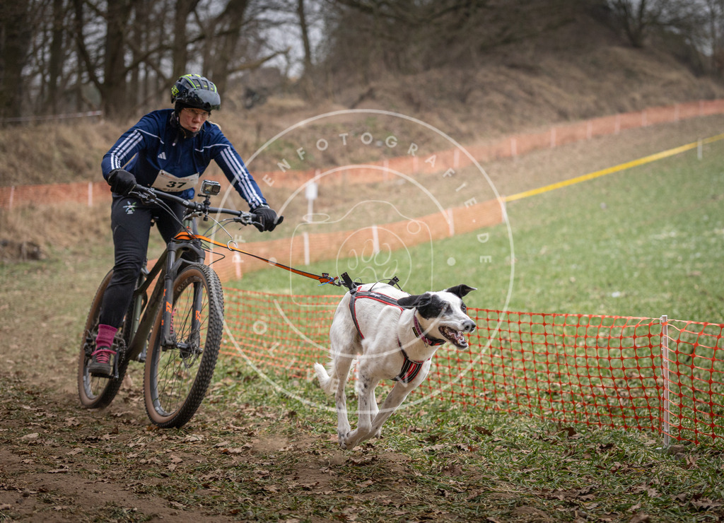 Pfotenfotografie_DV3A5173 | Hundefotografie, Tierfotograf, Pfotenfotografie, Fotoshooting Hund, Hunde Portrait, Hundesport, Hundeportraits, Heideshooting, Hunde, Sportfotograf, Hundefotograf, Turnierhundsport, THS,  - Realisiert mit Pictrs.com