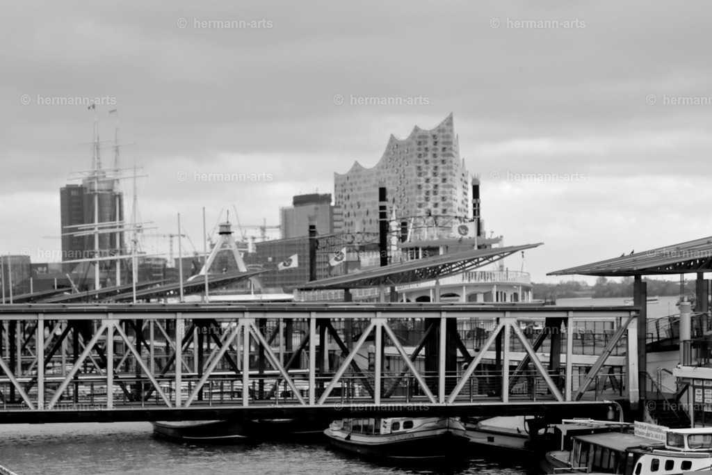 Hamurg_Arts-001 | Photo Foto Kunst Art schwarzweiss Bilder Rheine Münster Berlin Blumen 