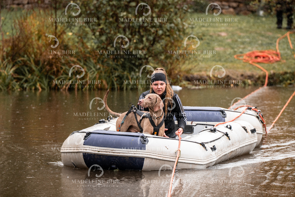 madeleinebirr-fotografie2025.campcanis.11-12Uhr-342 | hundefotografie-birr