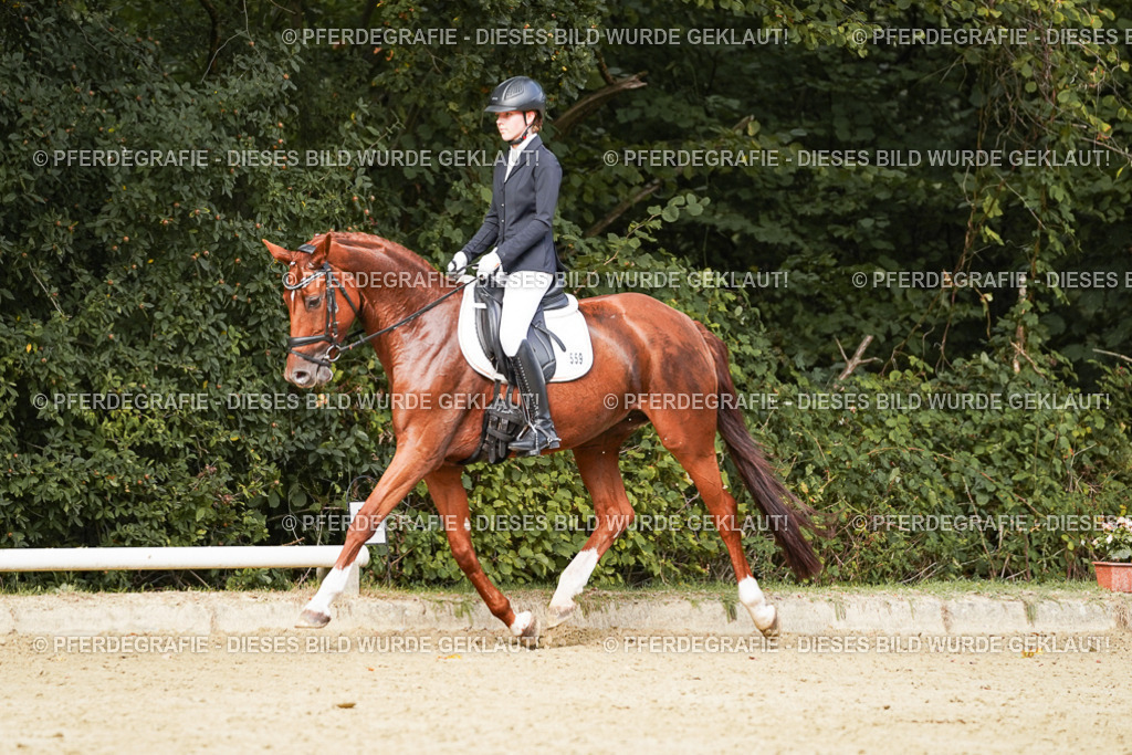 DSC03418 | Pferdegrafie