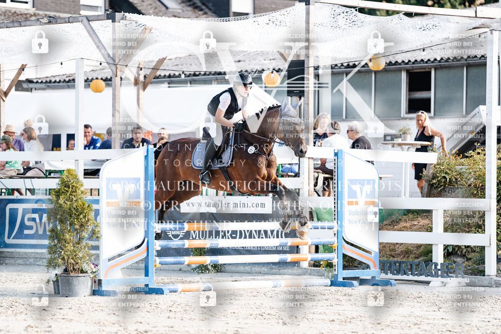 CK909433 | Turnierfotografie Pferdefotografie Trier Rheinland-Pfalz Pferdesport Reitsport Tierfotografie Sportfotografie Pferdevideo Pferdevideografie Equestrianvideography equestrianphotography  - Realisiert mit Pictrs.com
