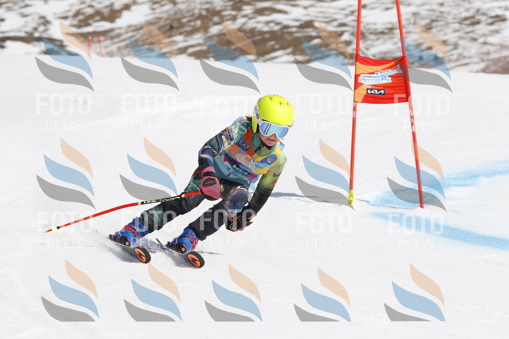 _U3G0879 | holidayphoto