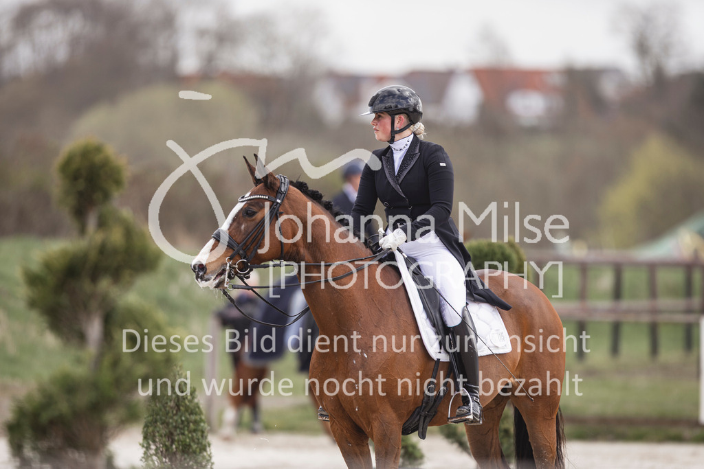 260331_Fruehlingsfest_Dressurreiter-S-400 | Deine schönsten Turniermomente als professionelle Fotos! Entdecke hochwertige Pferdesport-Fotografie im Online-Shop. Jetzt Fotos finden & bestellen!