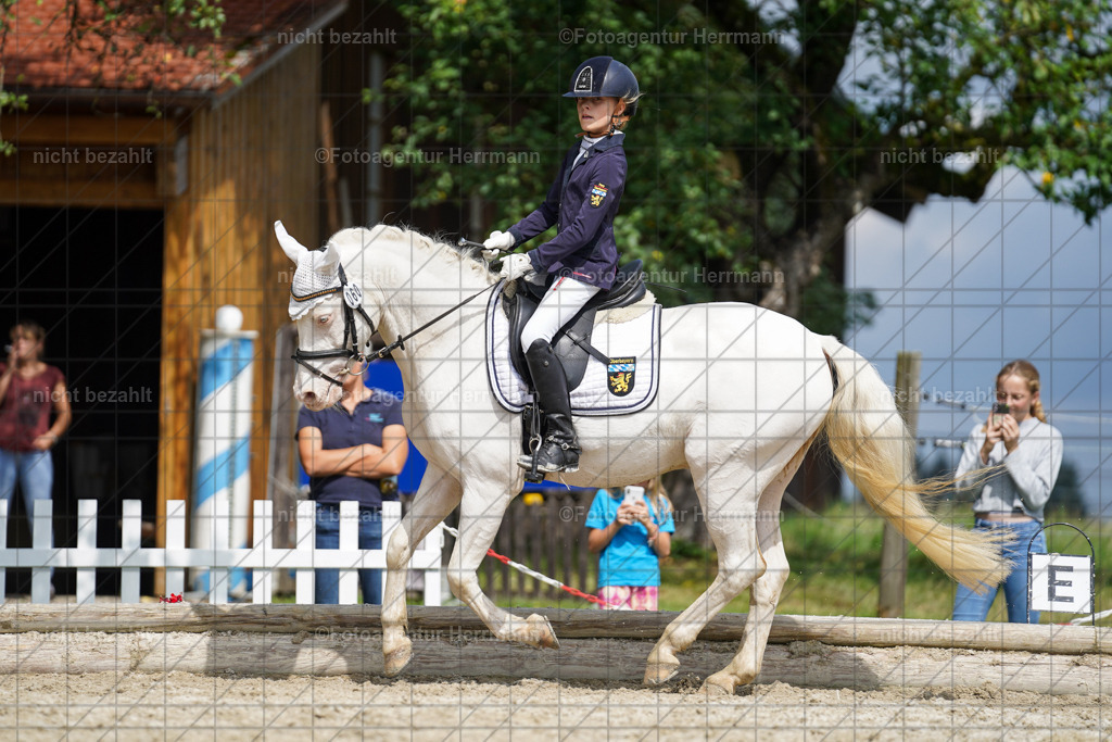 20230826-FAH05269 | Forstinning, 2023, Dressurturnier, Turniersportbilder, Turnierfotografen Bayern, Fotoagentur Herrmann, Reitsportfotografie, Turnierbilder