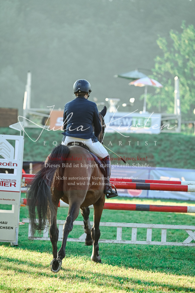 DSC_3835 | Pferde- und Turnierfotografie in Westsachsen. Pferdeportraits, Auftragszeichnungen und intuitive Kunst.