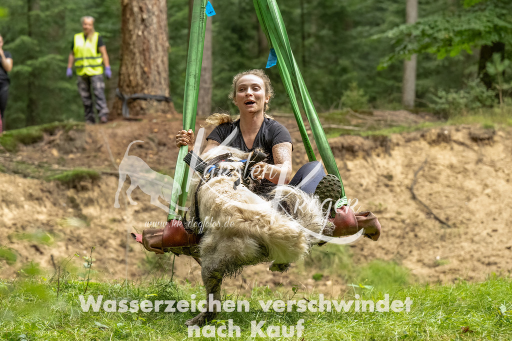 1258_ZZ91876-Bearbeitet | kk-dogfotos