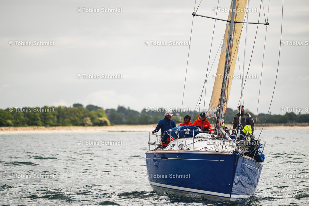 Fehmarn Rund 2025_DSC6858 | Fotoprodukte, Kalender und Wanddeko direkt vom Fotografen auf Fehmarn. Ob Wandbild auf Alu-Dibond, hinter Acrylglas oder auf Leinwand – hier können Sie Ihr Lieblingsbild kaufen. - Realisiert mit Pictrs.com
