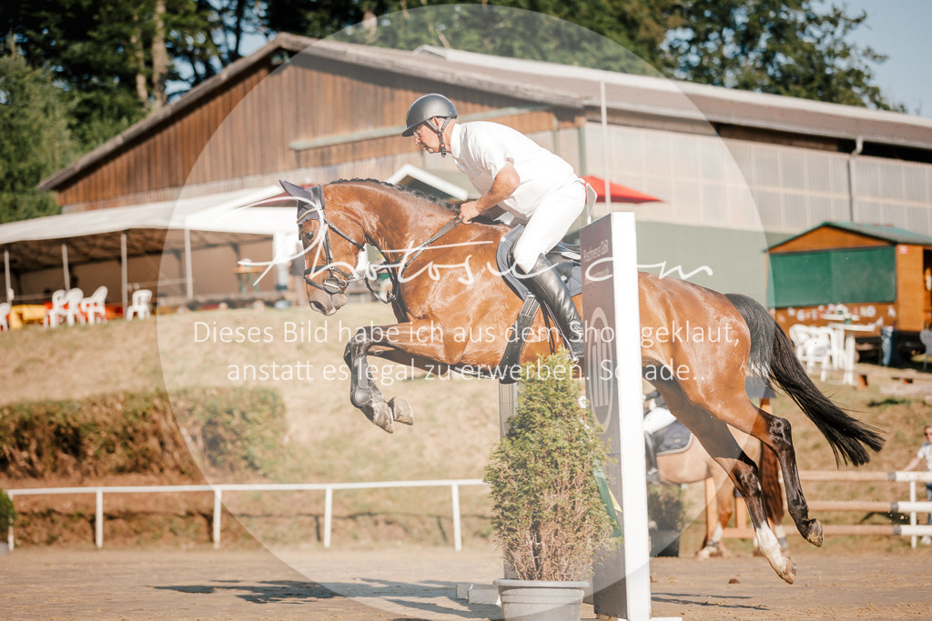 3I6A6192 | Stimmungsvolle Portraits und Reitsportfotografie im Ruhrgebiet und im Münsterland.

Pferdefotografie, Hundefotografie, Tierfotografie, Reportagen, Portraits von Tier und Mensch, Turnierfotografie in Bochum, Recklinghausen, Marl, Haltern am See, Dülmen.. - Realisiert mit Pictrs.com