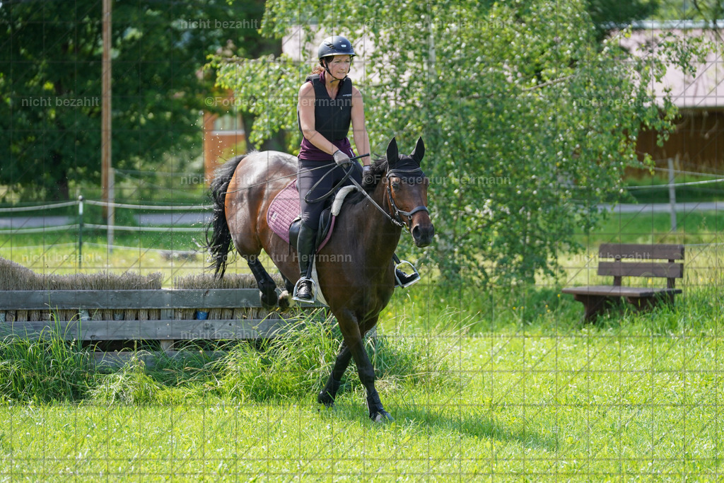 20240622-FAH07821 | Turnierfotografen Bayern, Reitsportbilder aus dem Geländekurs mit Felix Etzel auf dem Gut Waitzacker 2024