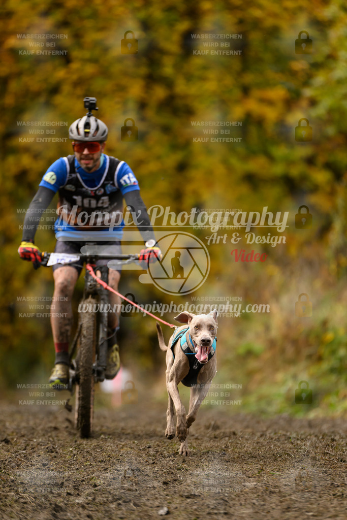 MompixPhotography_ICF_WC_2024_SA_Bike_-75 | PayLife
