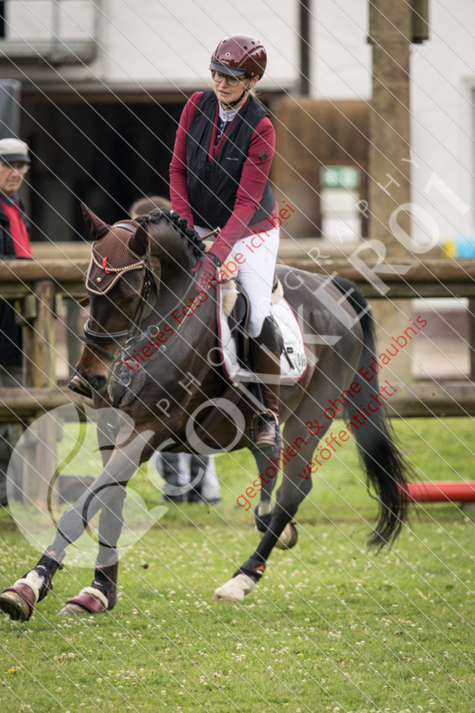 IMG_2453 | Sport-, Event- und Tierfotos in Profiqualität. Einfach auswählen, bestellen und herunterladen. Dein Moment – perfekt festgehalten.