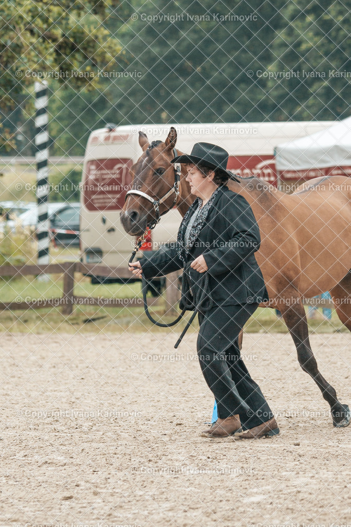 DSC08280 | ikphotography - Realisiert mit Pictrs.com