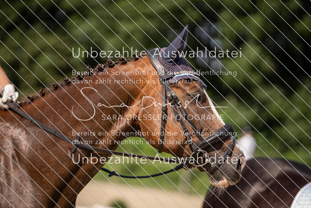 SD_Verl_08556 | saradresslerfotografie - Realisiert mit Pictrs.com