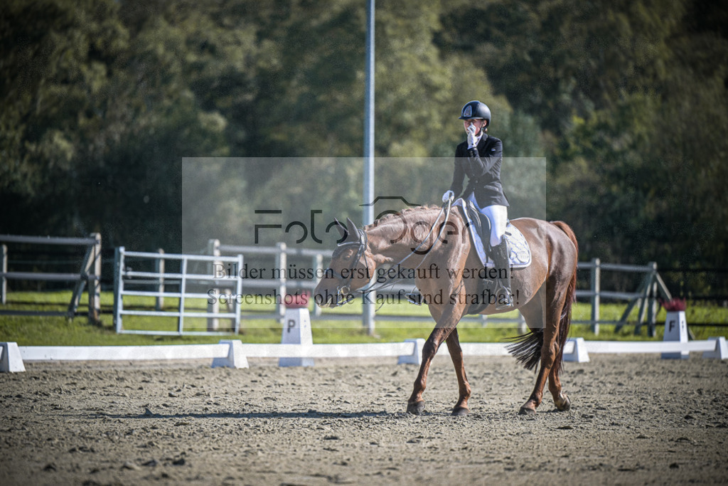 DOS_3113 | Entdecke hochwertige Reitturnierfotos von Foto Oger. Professionell, emotional und authentisch – jetzt Lieblingsmomente im Shop bestellen.Deutschlandweite Turnierfotografie. - Realisiert mit Pictrs.com