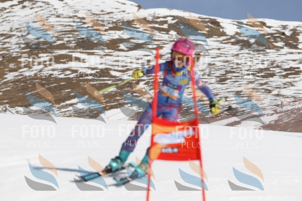 _U3G9920 | holidayphoto