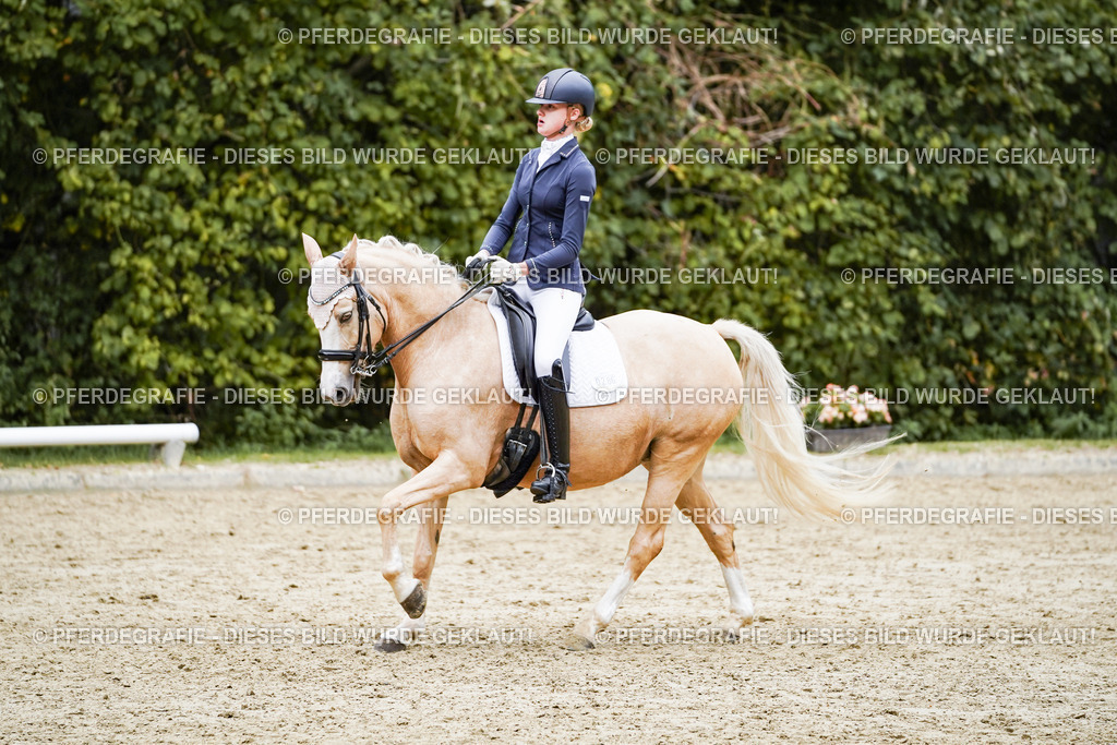 DSC07618 | Pferdegrafie