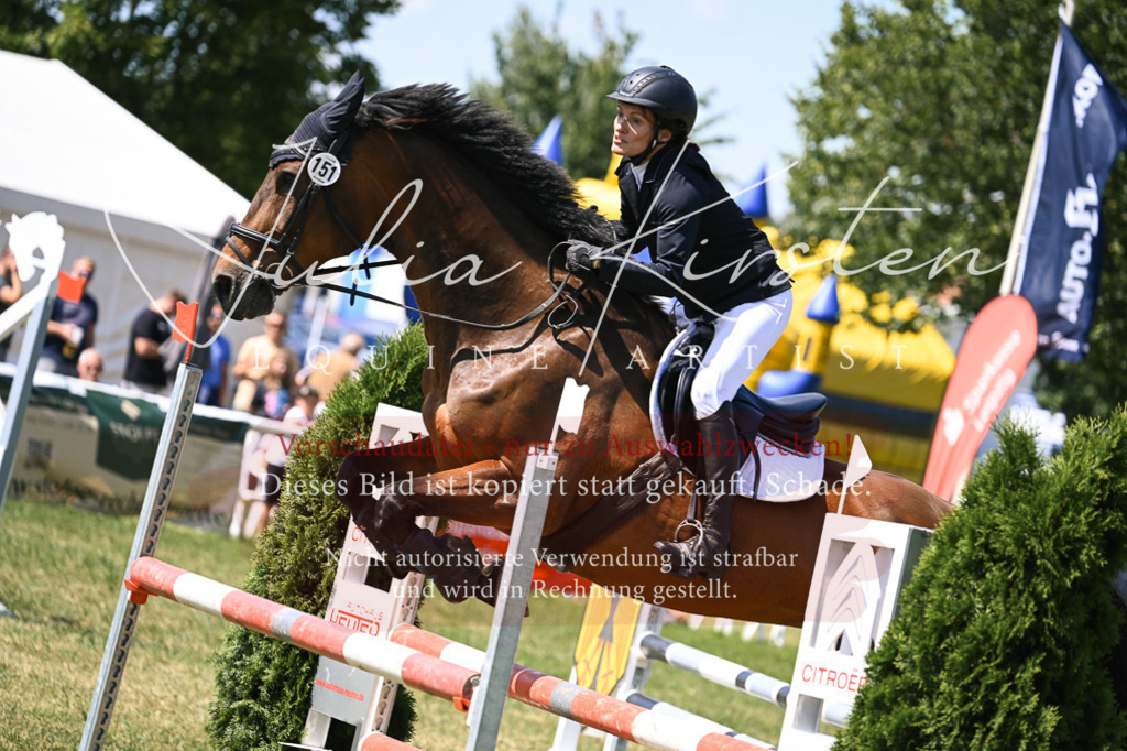 DSC_0179 | Pferde- und Turnierfotografie in Westsachsen. Pferdeportraits, Auftragszeichnungen und intuitive Kunst.