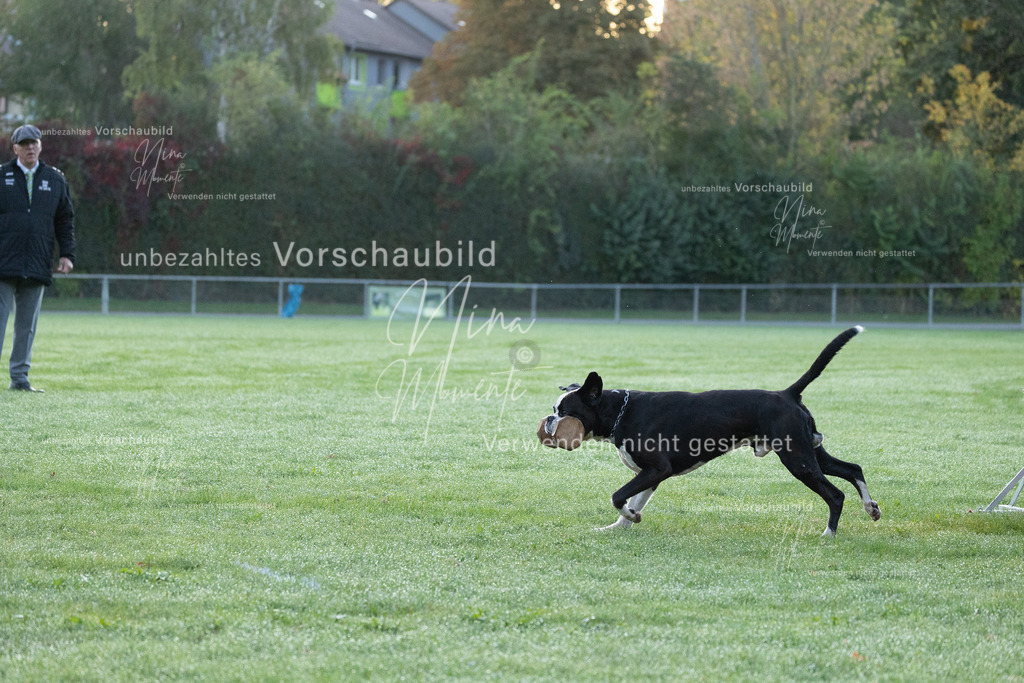 _16A5751 | Einzigartige Fotos von Hunden & Menschen –Actionfotos, Portraits, Vereinsaufnahmen & Paarshootings – authentisch, lebendig & mit Herz.