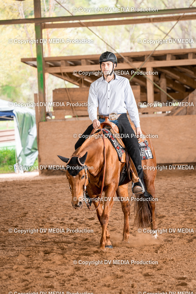 BA300797 | dv-media-shop - Realisiert mit Pictrs.com