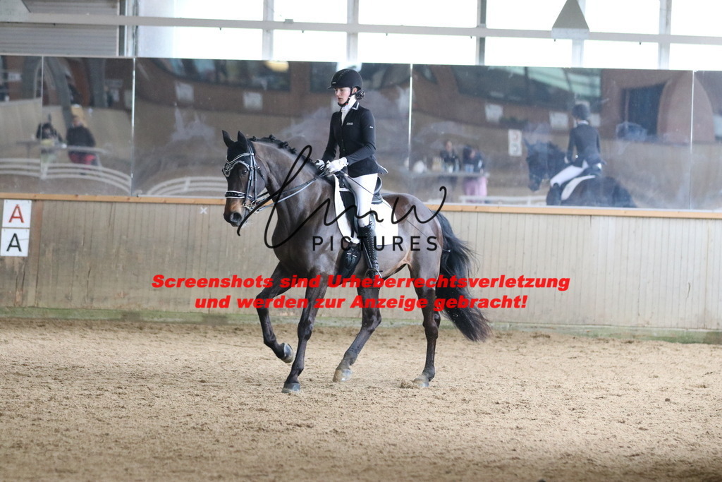 IMG_0103 | lmwpictures - Realisiert mit Pictrs.com