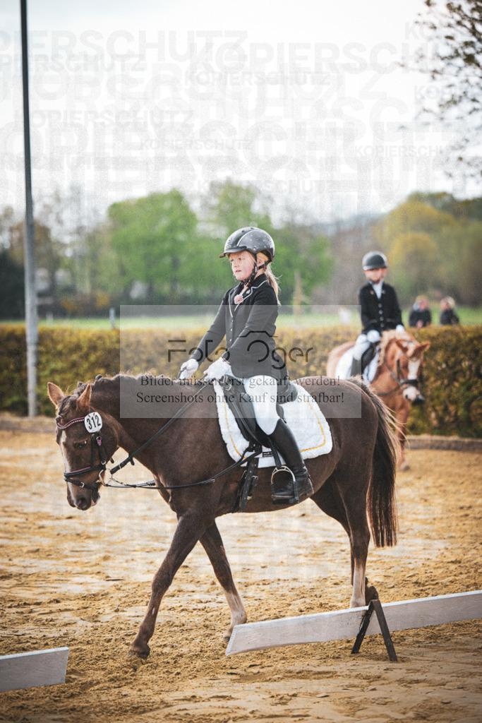 DOS_5549 | Entdecke hochwertige Reitturnierfotos von Foto Oger. Professionell, emotional und authentisch – jetzt Lieblingsmomente im Shop bestellen.Deutschlandweite Turnierfotografie. - Realisiert mit Pictrs.com