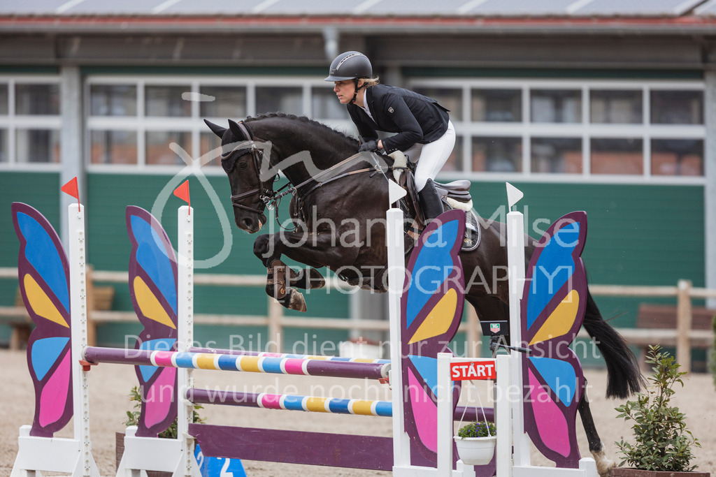 250506_Mühlen_SprPf-A2-220 | Deine schönsten Turniermomente als professionelle Fotos! Entdecke hochwertige Pferdesport-Fotografie im Online-Shop. Jetzt Fotos finden & bestellen!