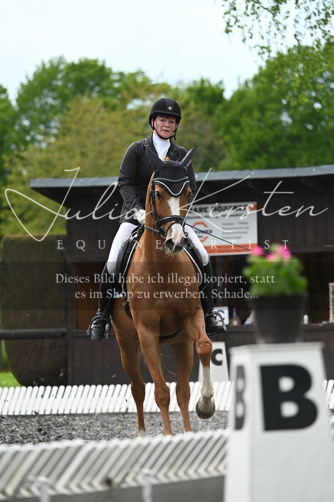 20230512_JK-Röhrsdorf-08-201 | Pferde- und Turnierfotografie in Westsachsen. Pferdeportraits, Auftragszeichnungen und intuitive Kunst.