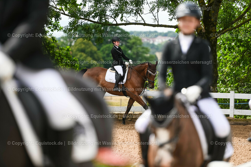 20230716_10-1_Reiter-WB Schritt - Trab - Galopp_0094 | equistock