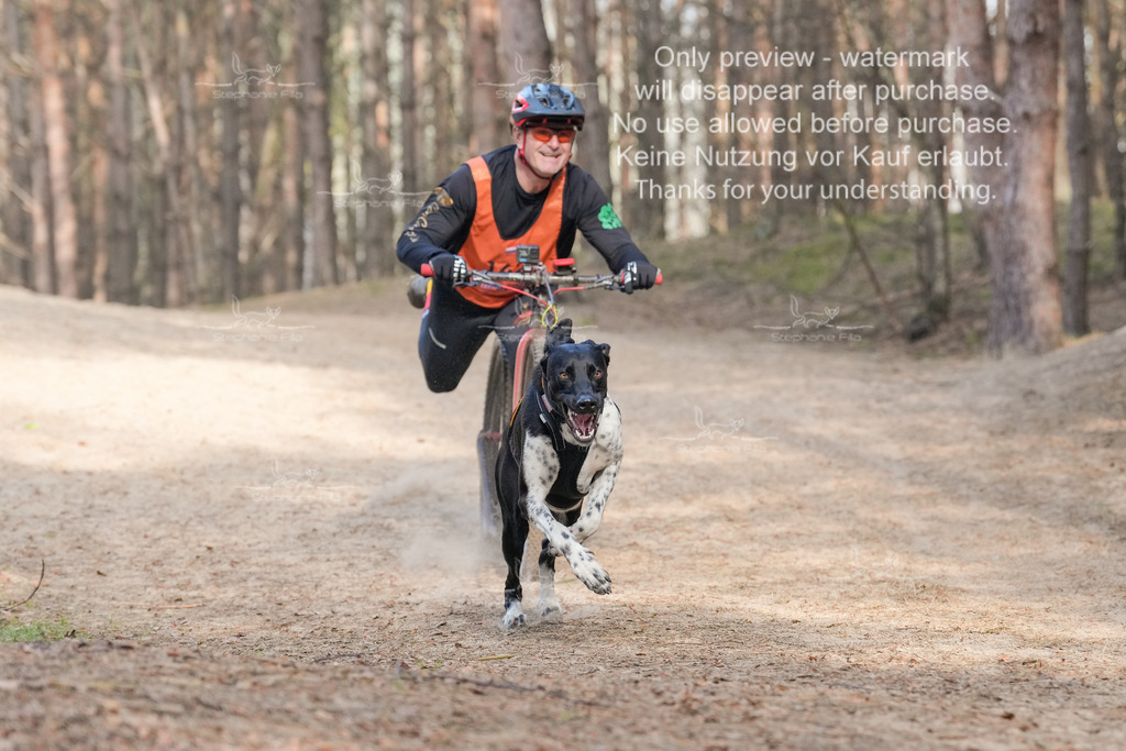 Scooter2-7 | stephaniefillaphotographie - Realisiert mit Pictrs.com